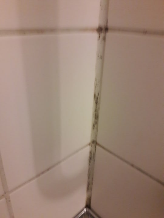 Zimmer Dorint Hotel Durbach/Schwarzwald