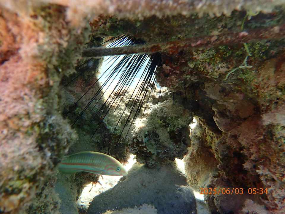 Strand Makadi Spa - Adults only