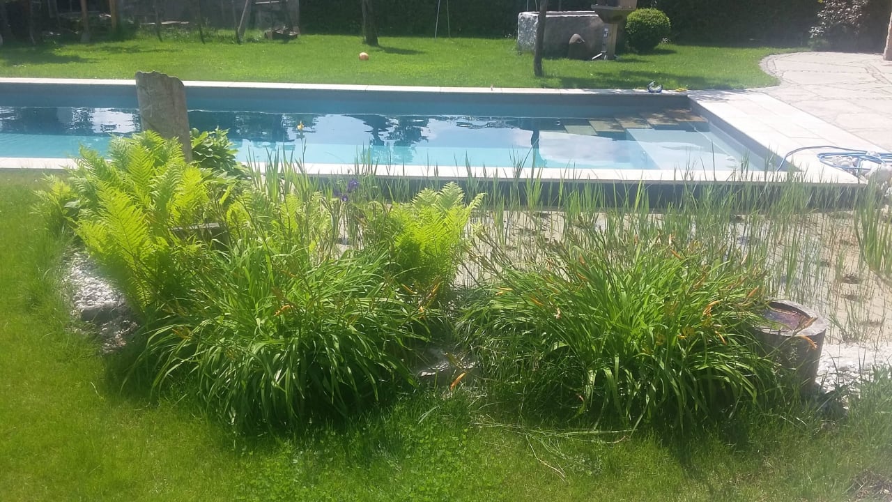 Naturpool Ferienwohnung Lorenz Bad Aibling (Heufeld)