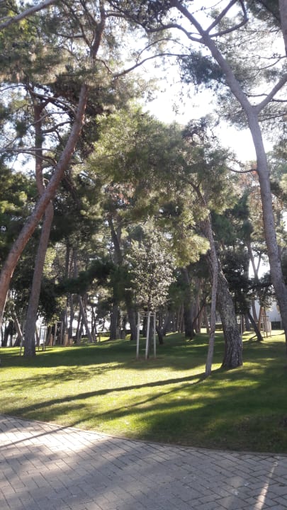 Gartenanlage Hotel Parentium Plava Laguna