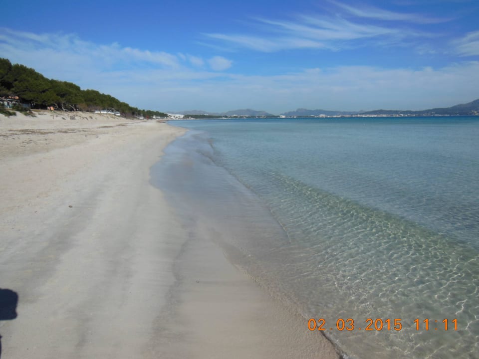 Der Strand im März Alcudia Garden Aparthotel