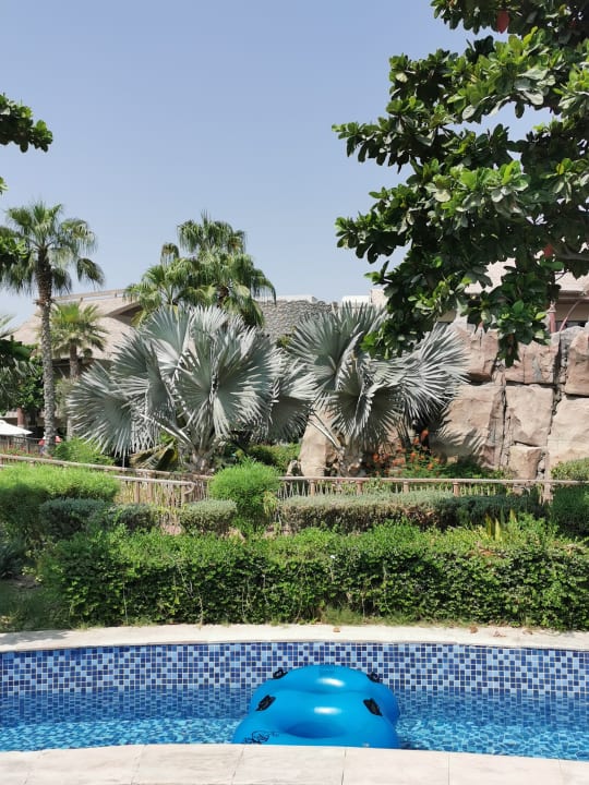 Zimmer Lapita - Dubai Parks & Resorts - Autograph Collection