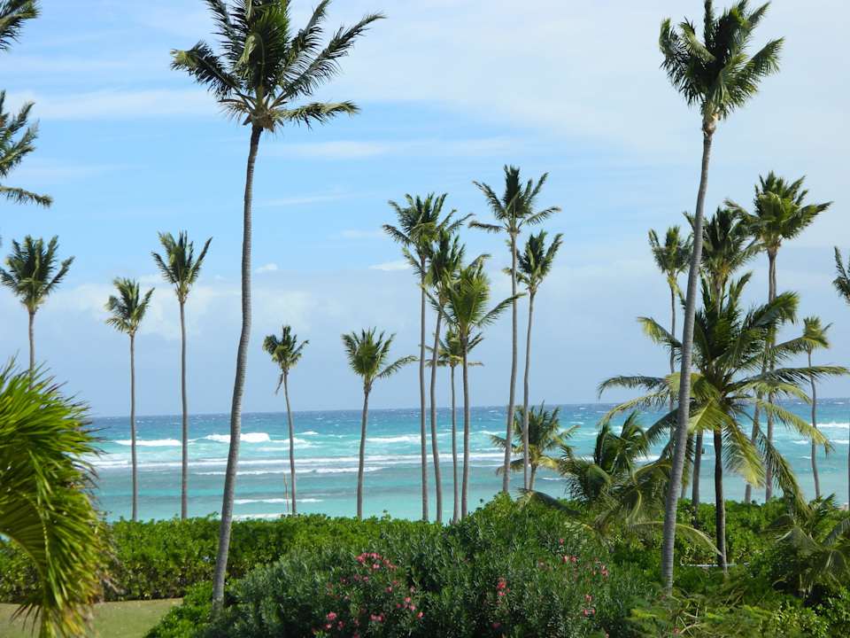 Ausblick vom Zimmer Ocean Blue & Sand