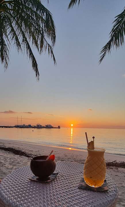 Gastro Meeru Maldives Resort Island