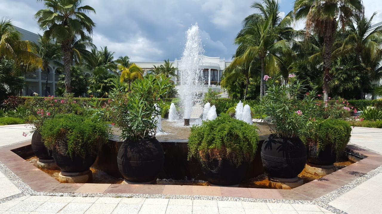 Lobby Dreams Tulum Resort & Spa
