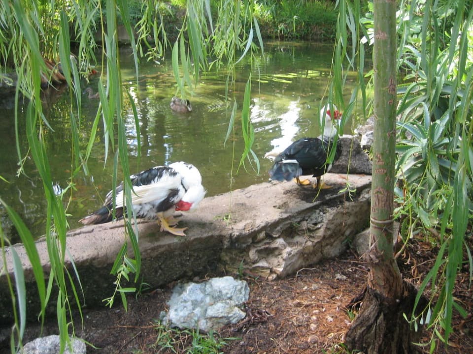 Teich in der Anlage Aldiana Club Rocca Nettuno Calabria