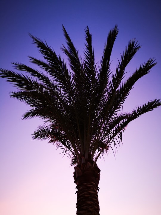 Garten Three Corners Sea Beach Resort