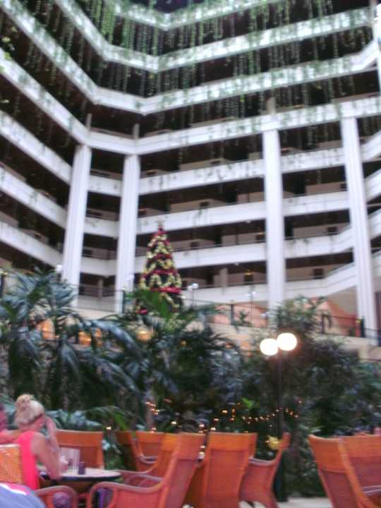 Herrliche grüne Pflanzen wachsen herunter Blau varadero - Adults only