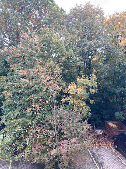 Ausblick Best Western Hotel Windorf