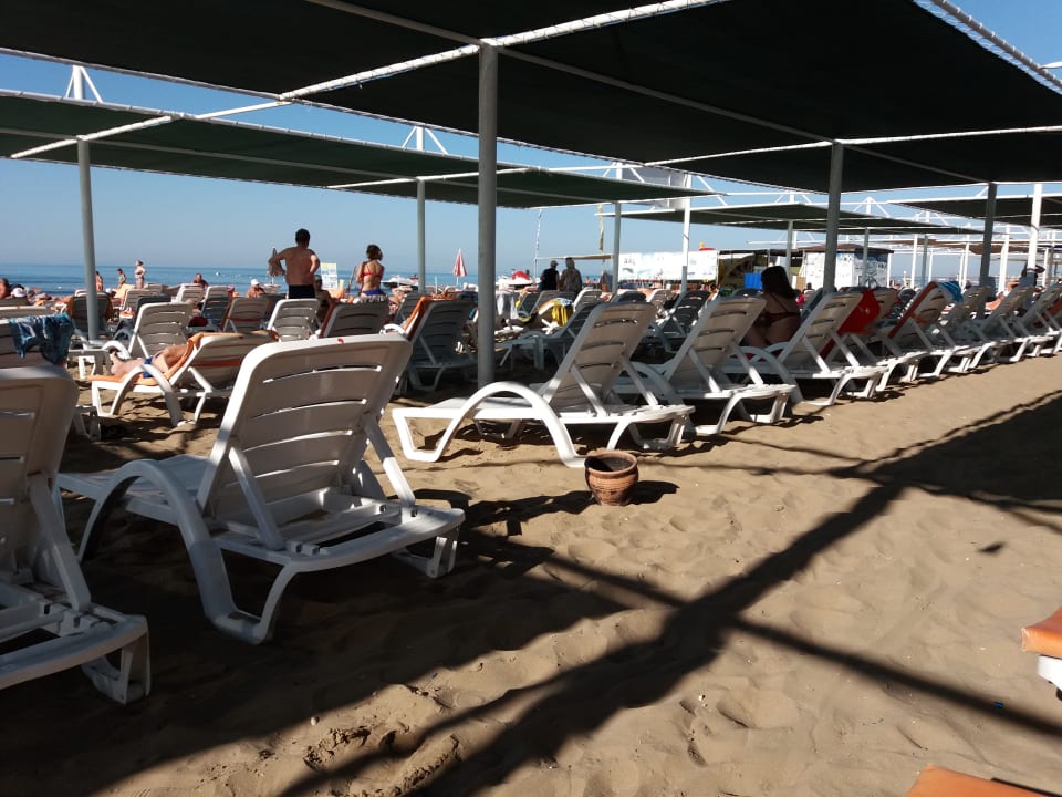 Strand Side Alegria Hotel & Spa - Adults only +16