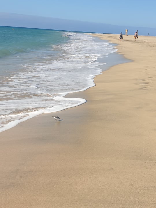 Strand H10 Playa Esmeralda - Adults only