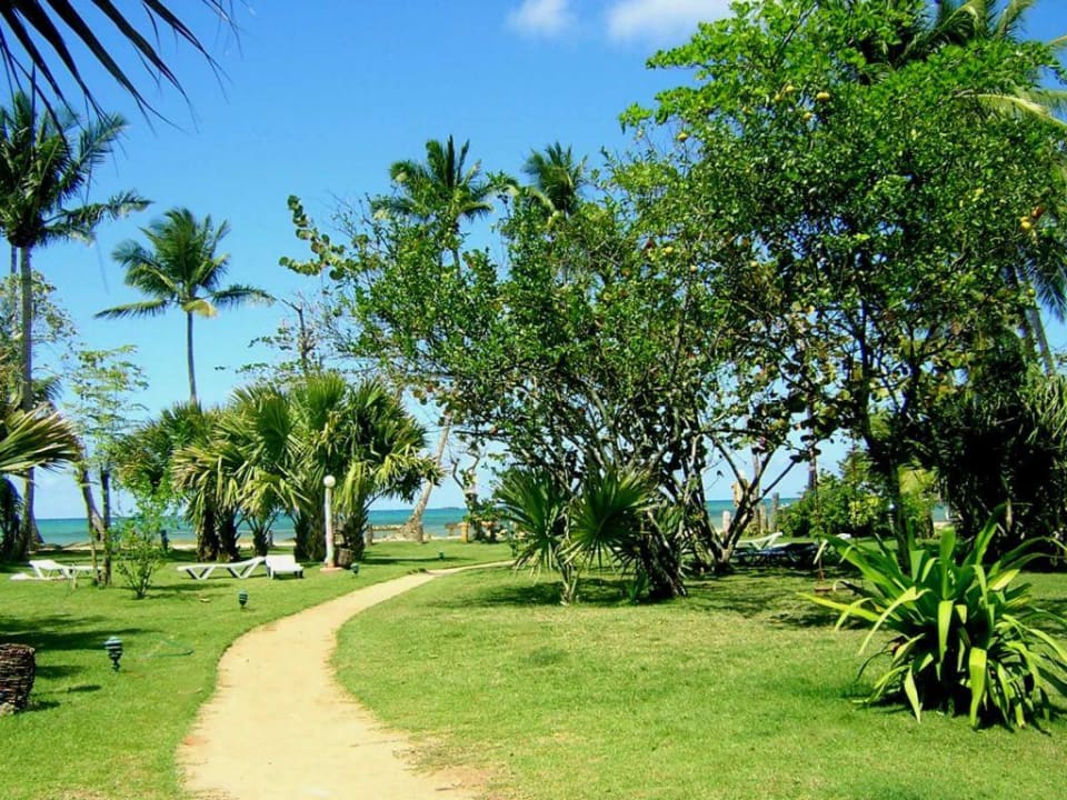 Gartenanlage Hotel Coyamar