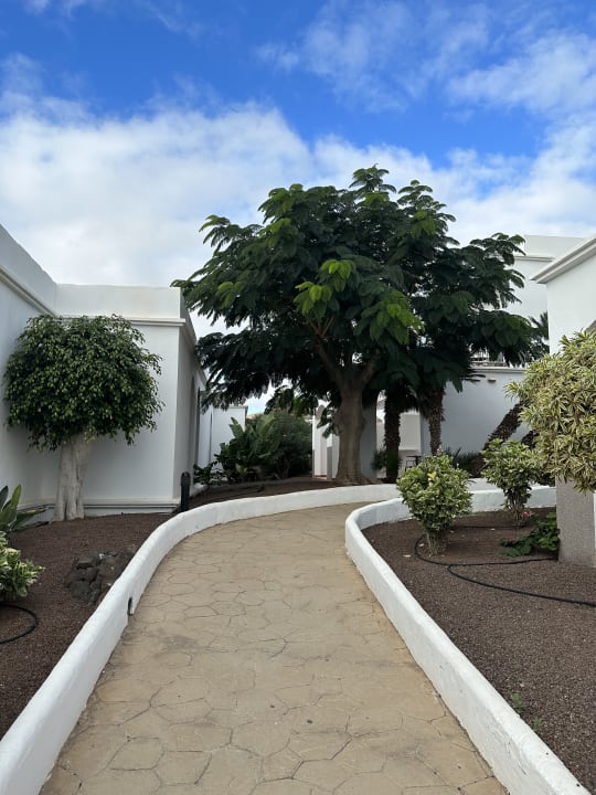 Gartenanlage AluaVillage Fuerteventura