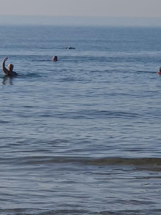 Strand Dream World Resort & Spa