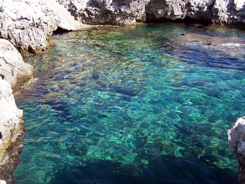 Ein Paradies zum Schnorcheln Hotel Kalithea Horizon Royal