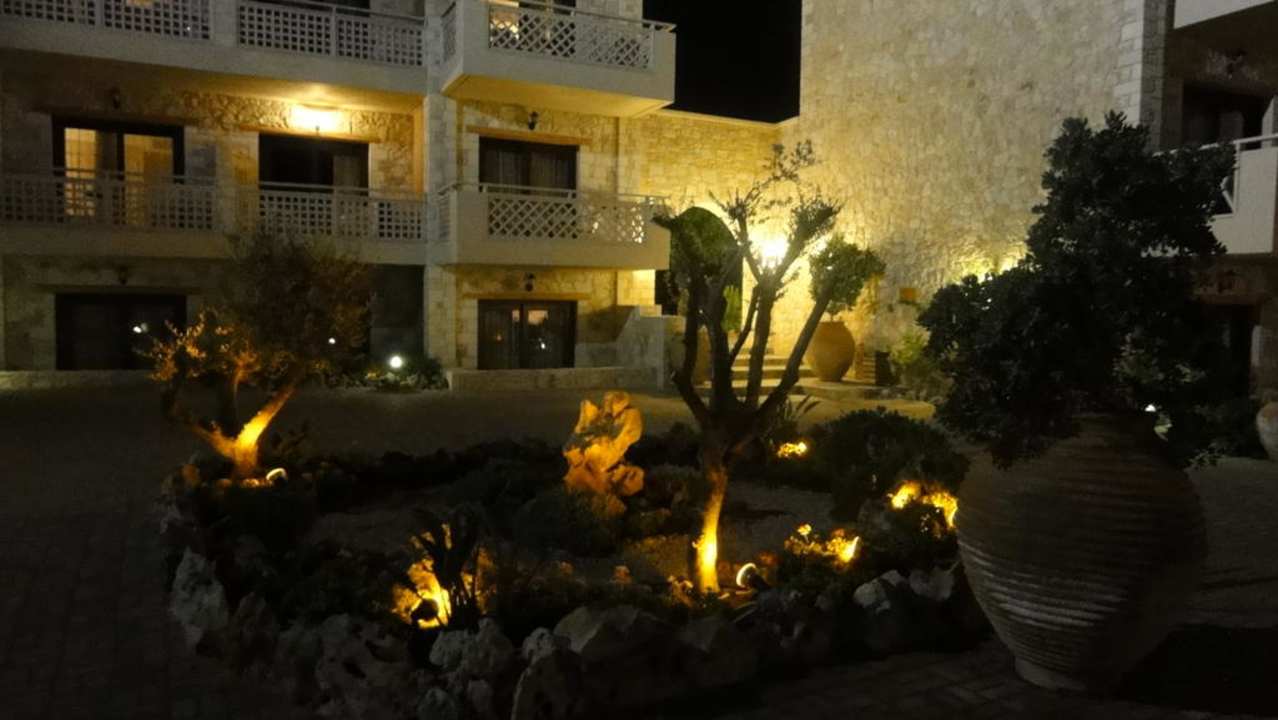 Innenhof Cactus Royal