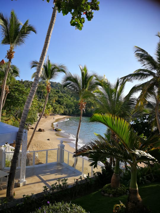 Ausblick Bahia Principe Grand Samana - Adults Only