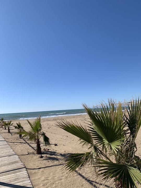 Strand Calimera Hane Garden
