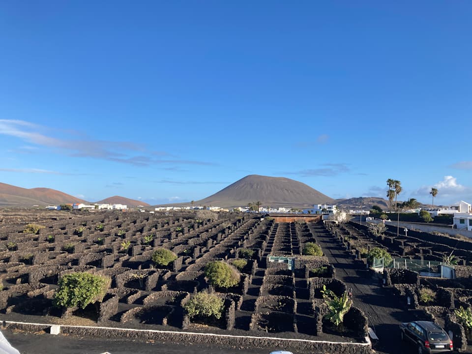 Zimmer Finca de la Florida