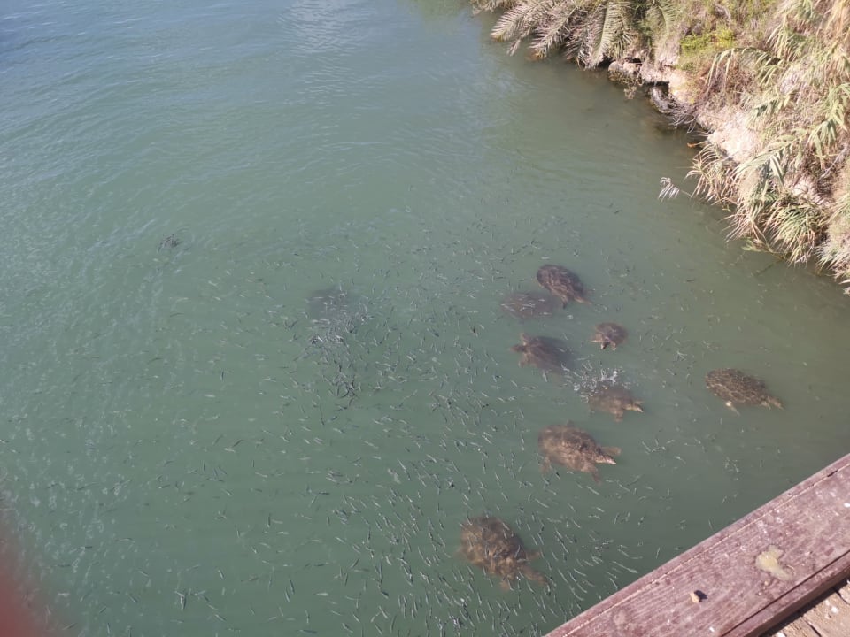 Sonstiges Side Aquamarin Resort & Spa