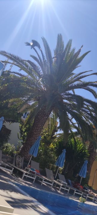 Pool Hotel Xidas Garden