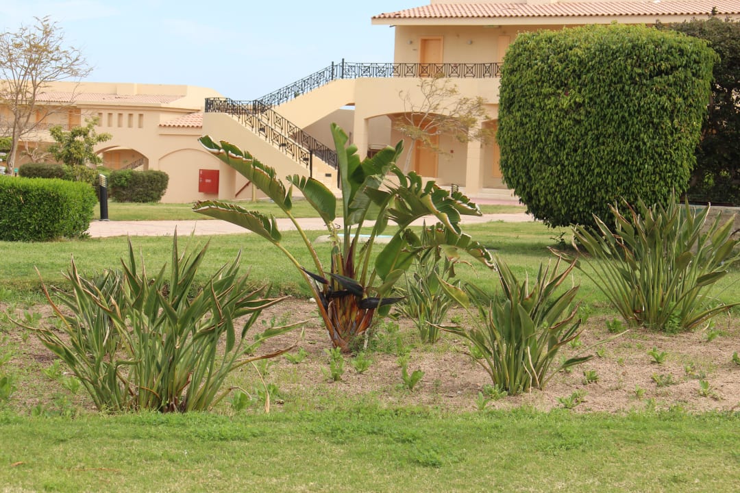 Gartenanlage Cleopatra Luxury Resort Makadi Bay