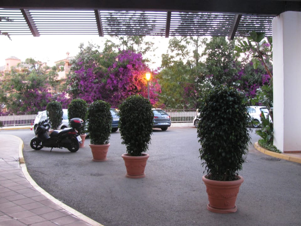 Hoteleingang H10 Estepona Palace
