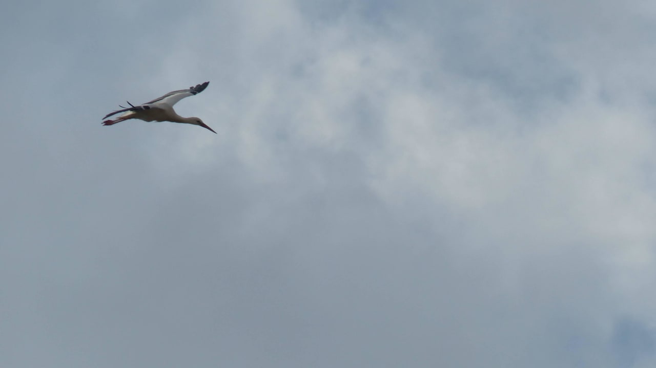 Blick von der Terrasse Hotel Le Jean-Sébastien Bach Strasbourg