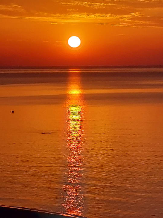 Ausblick Hotel Calypso Beach