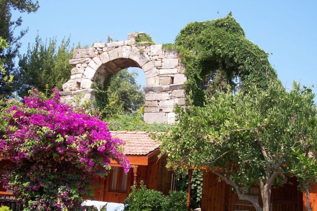 Gartenanlage Can Garden Beach