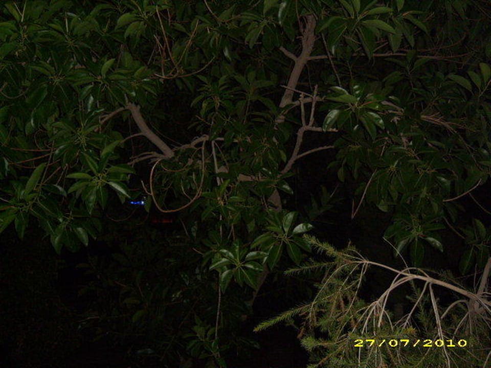 Zimmerausblick Senza Sunset Beach Hotel