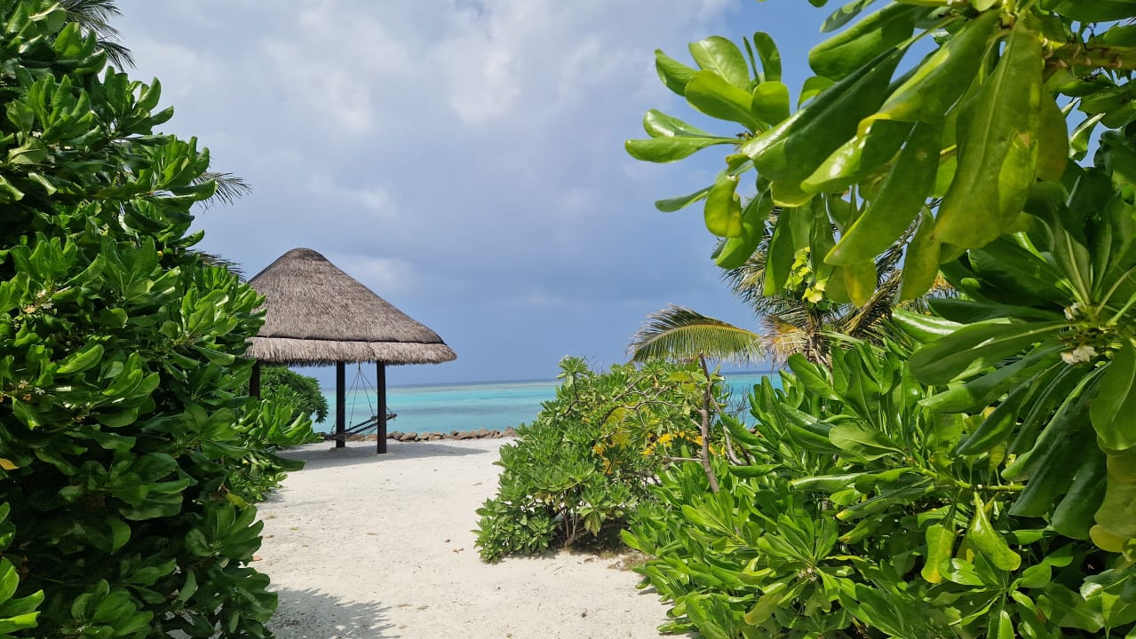 Ausblick Summer Island Maldives