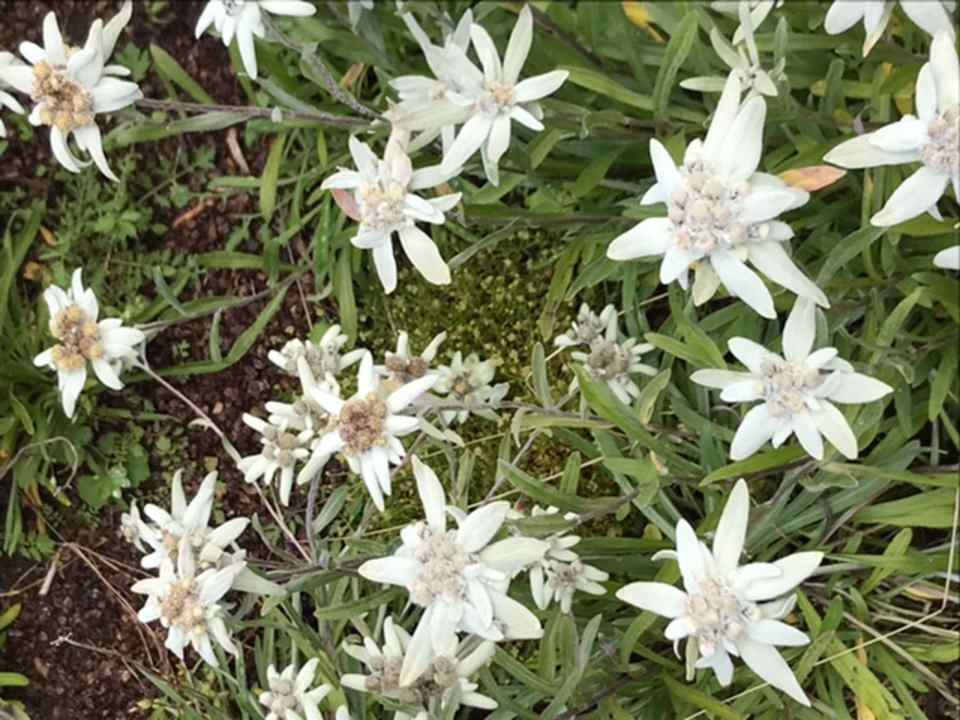 Ausblick Bella Vista Hotel Emma