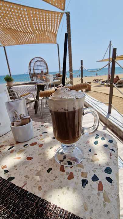 Strand Seashell Vega