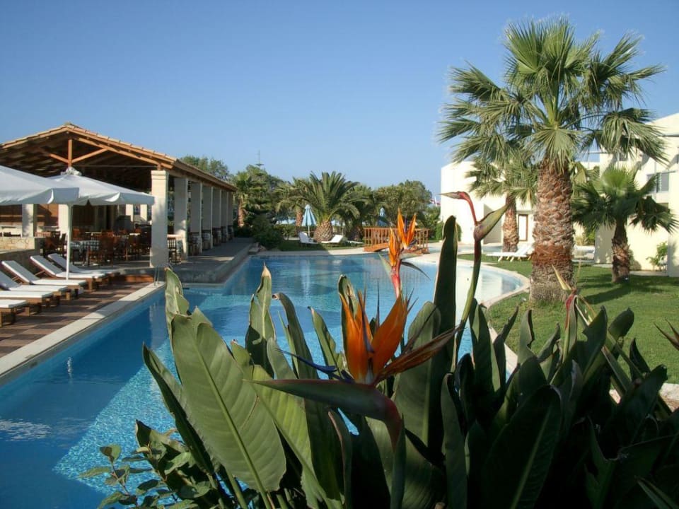 Poolrestaurant Phãea Cretan Malia