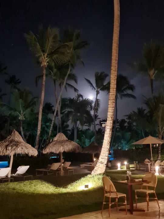 Gartenanlage Meliá Punta Cana Beach Resort - A Wellness Inclusive For Adults Only