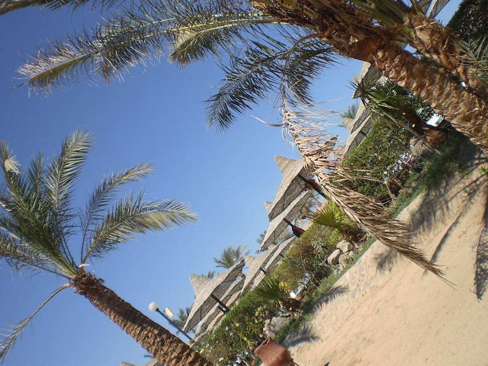 Garten Giftun Azur Resort