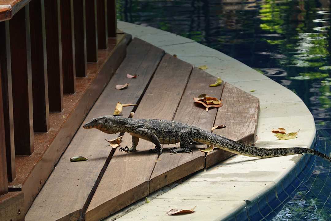 Sonstiges Khao Lak Merlin Resort