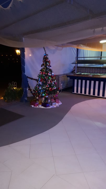 Sonstiges Desert Rose