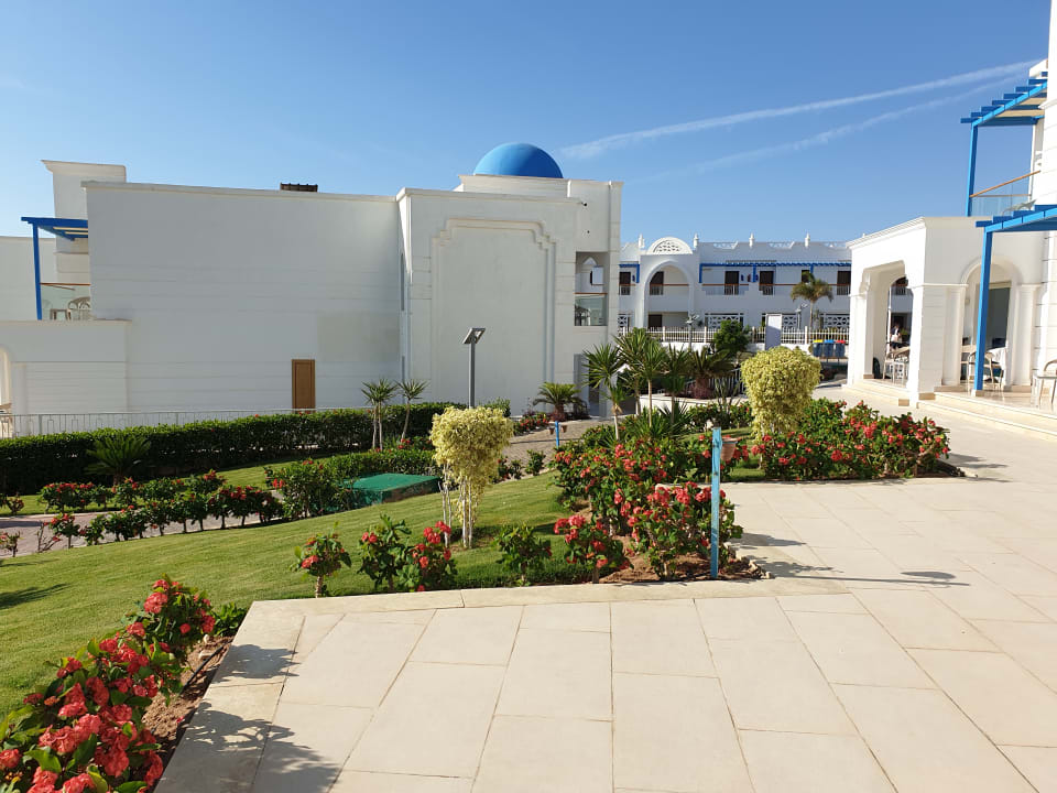 Gartenanlage Pickalbatros Palace Resort