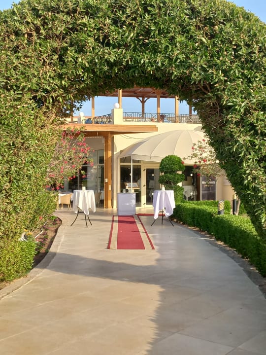 Gartenanlage Cleopatra Luxury Resort Makadi Bay