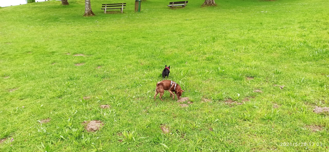 Sonstiges Hotel Seeblick und Ferienwohnung