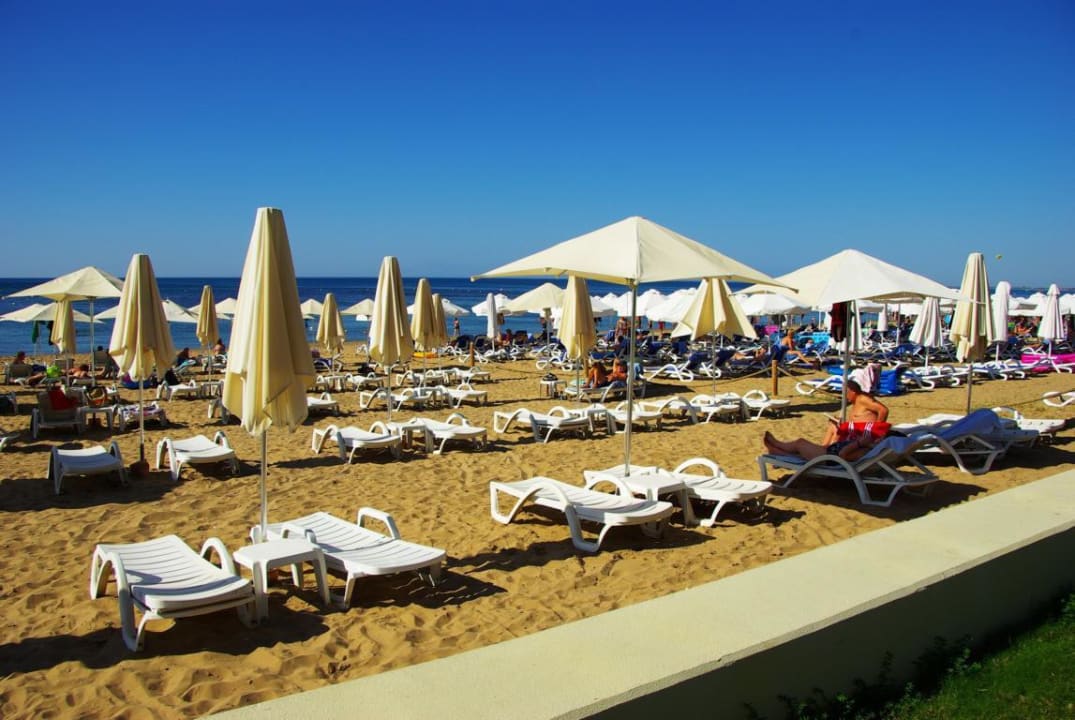 Am 25.10.2012 PALOMA Perissia