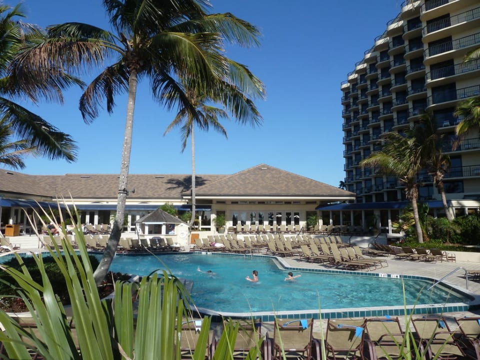 Pool Hotel Hilton Marco Island