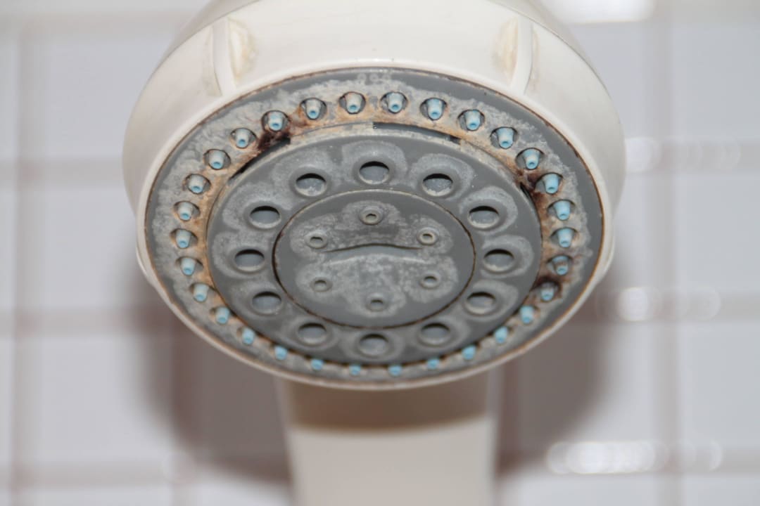 Duschkopf :( Ibersol Almuñecar Beach & Spa