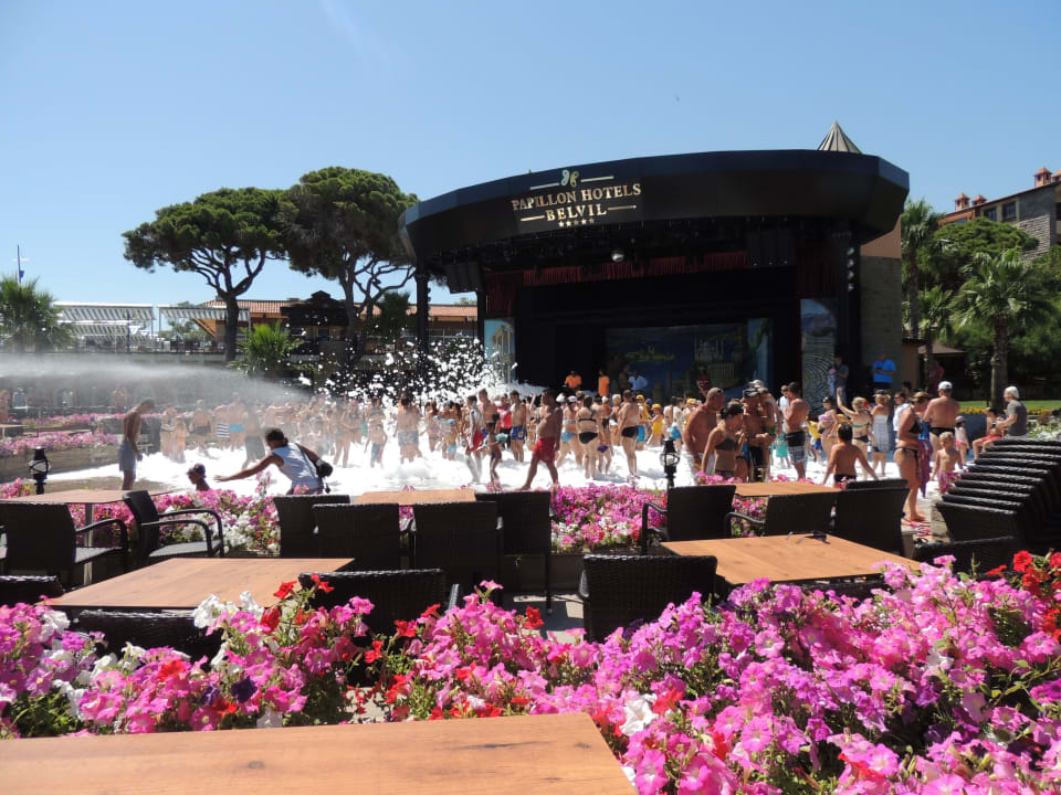 Kąpiel w pianie Papillon Belvil