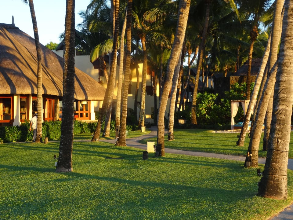 Gartenanlage bei Sonnenaufgang Constance Belle Mare Plage
