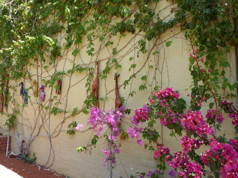 Garten mit Deko Kalahari Anib Lodge