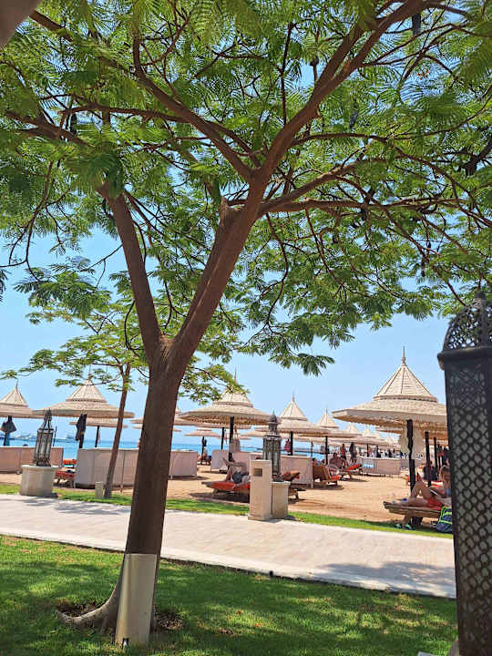 Strand The Grand Palace - Adults only