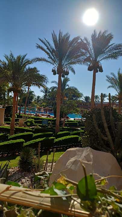 Gartenanlage Golden Beach Resort